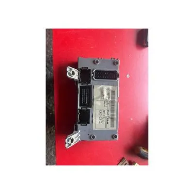46817014 Palio Body Beyni